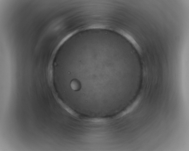 X0000113860933200909241305
