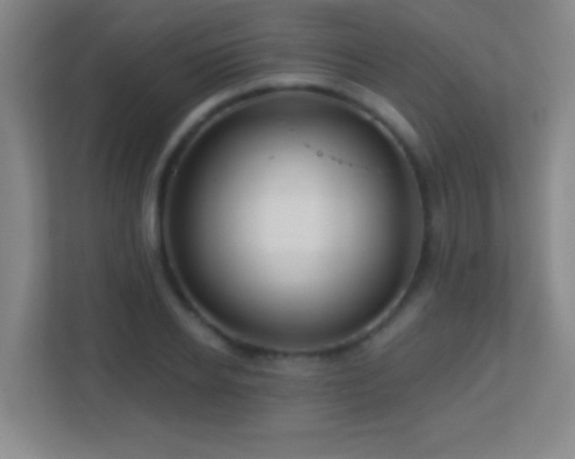X0000113860934200909241305
