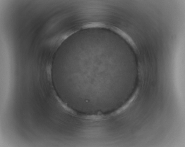 X0000113860937200909241305