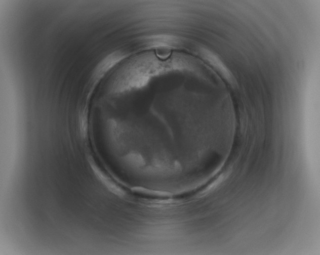 X0000113860938200909241305