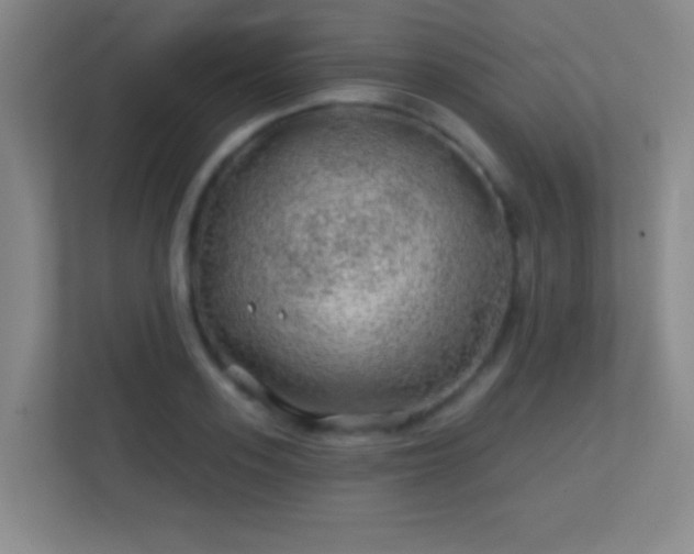 X0000113860939200909241305