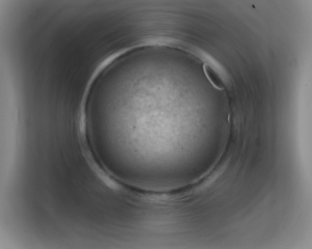 X0000113860940200909241305