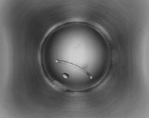 X0000113860942200909241305