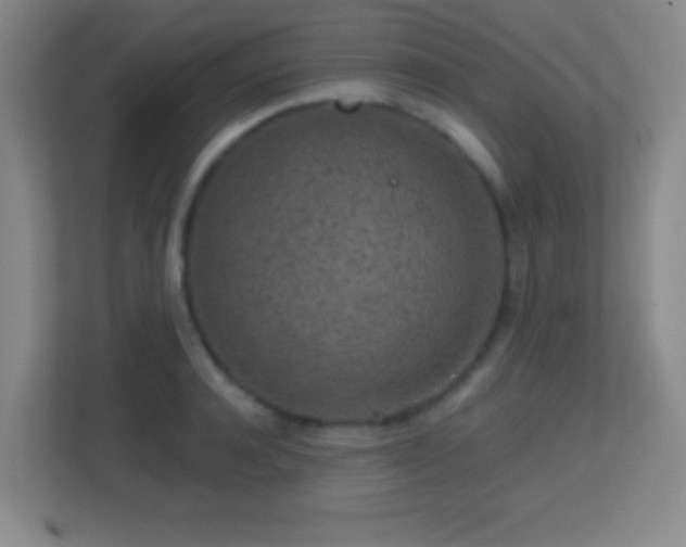 X0000113860944200909241305