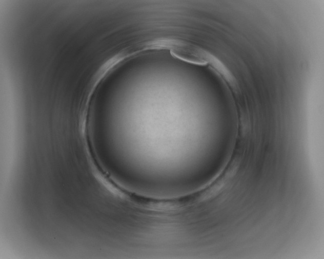 X0000113860946200909241305