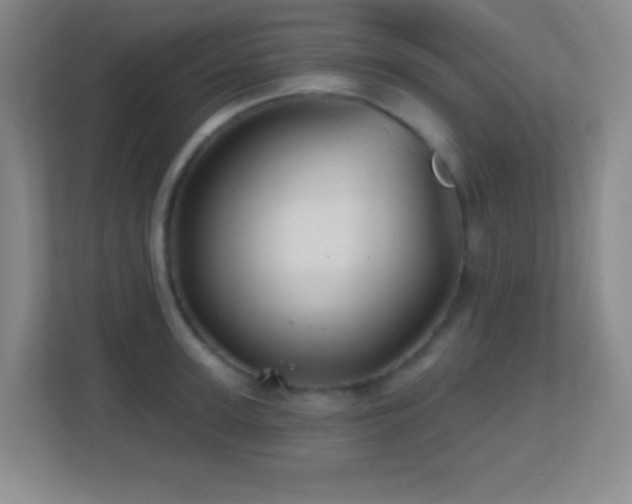 X0000113860947200909241305