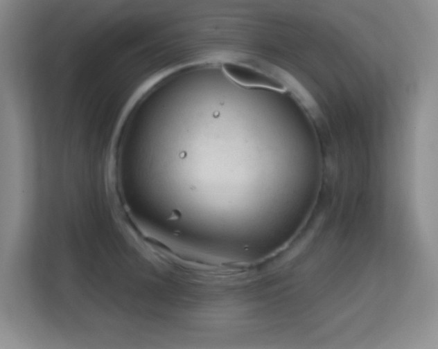 X0000113860948200909241305