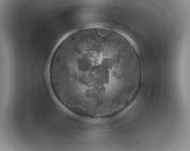 X0000113860949200909241305