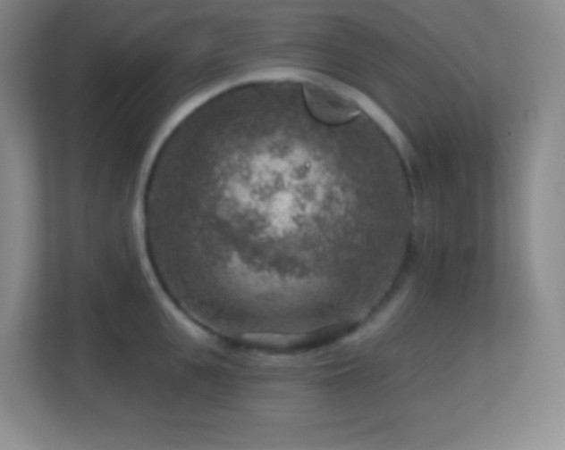 X0000113860951200909241305