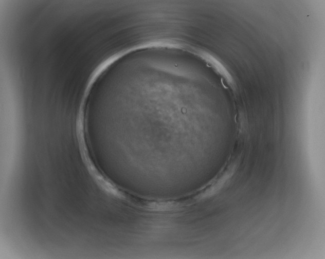 X0000113860952200909241305