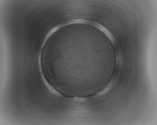 X0000113860954200909241305