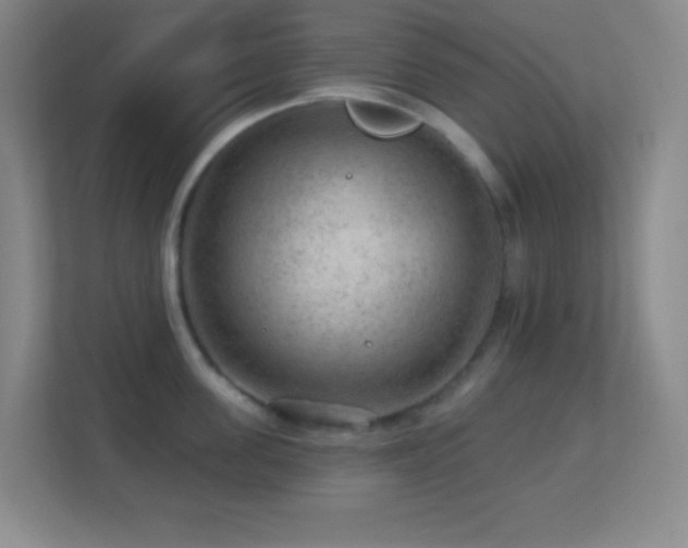 X0000113860955200909241305