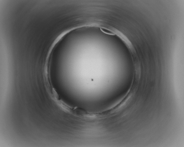 X0000113860956200909241305