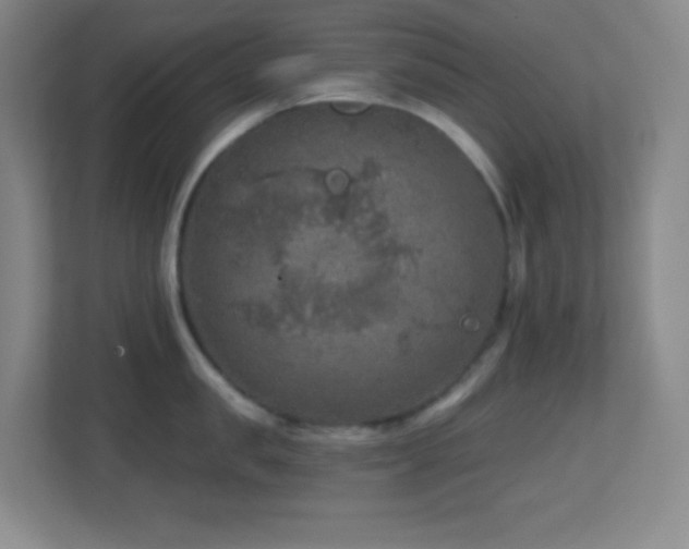 X0000113860957200909241305