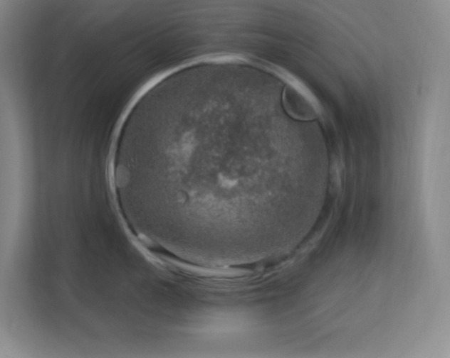 X0000113860959200909241305