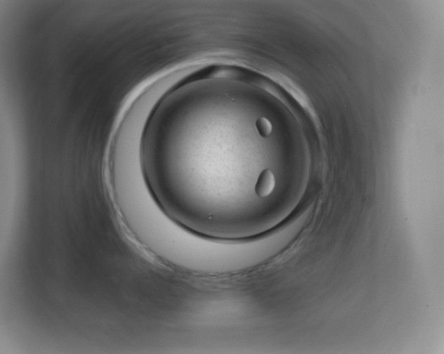 X0000113860960200909241305