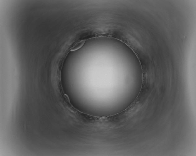 X0000113860961200909241304