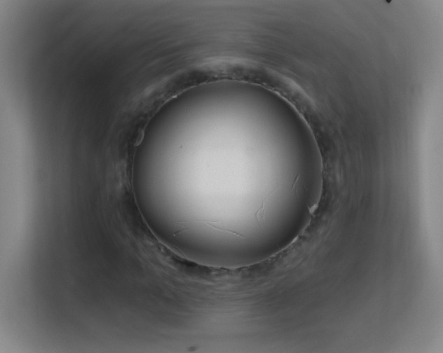 X0000113860965200909241304