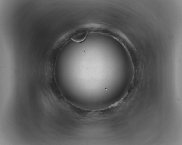 X0000113860967200909241304