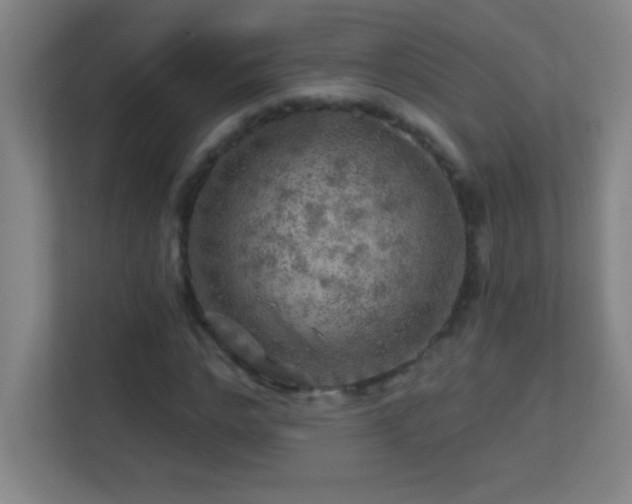X0000113860968200909241304