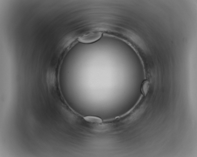 X0000113860969200909241304