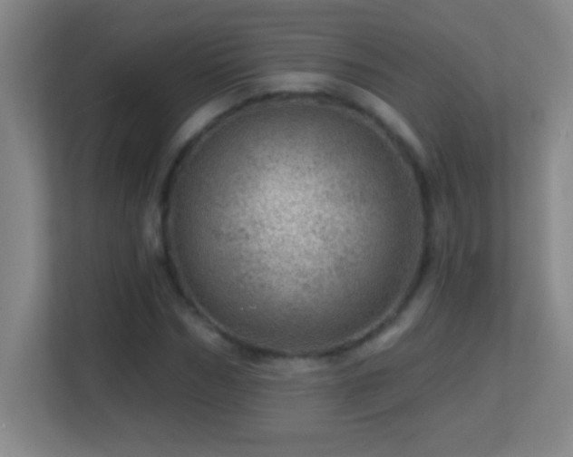 X0000113860970200909241304
