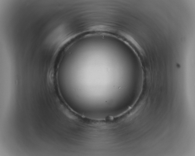 X0000113860971200909241304