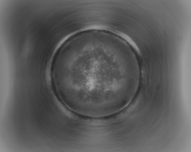 X0000113860972200909241304