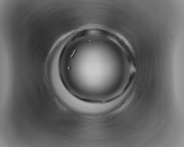X0000113860973200909241304