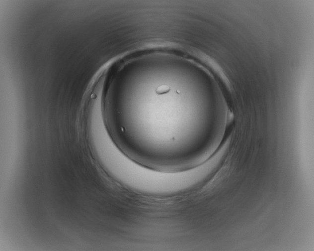 X0000113860975200909241304