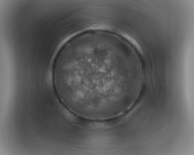 X0000113860976200909241304