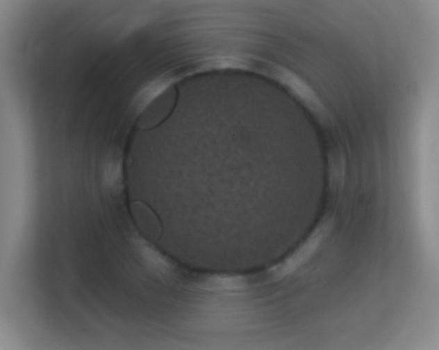 X0000113860977200909241304