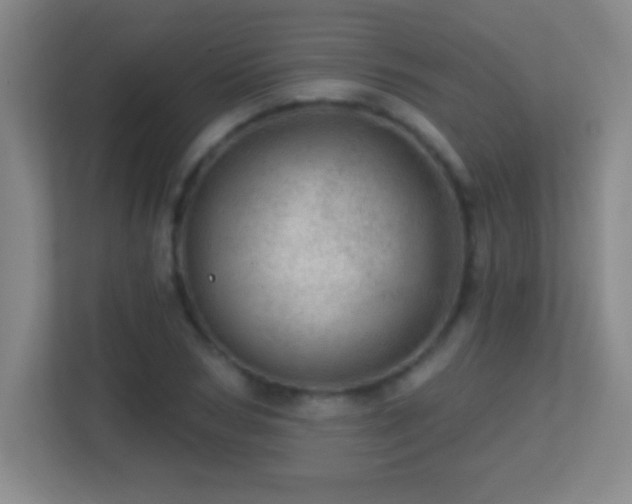 X0000113860978200909241304