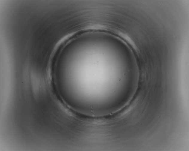 X0000113860979200909241304