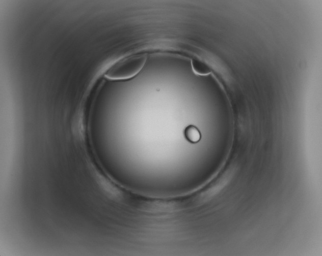 X0000113860981200909241304