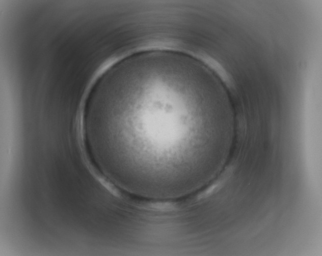 X0000113860982200909241304