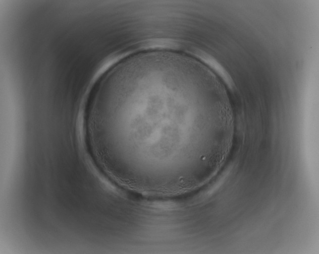 X0000113860983200909241304