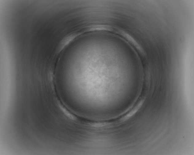 X0000113860985200909241304