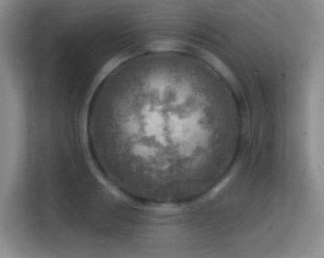 X0000113860986200909241304