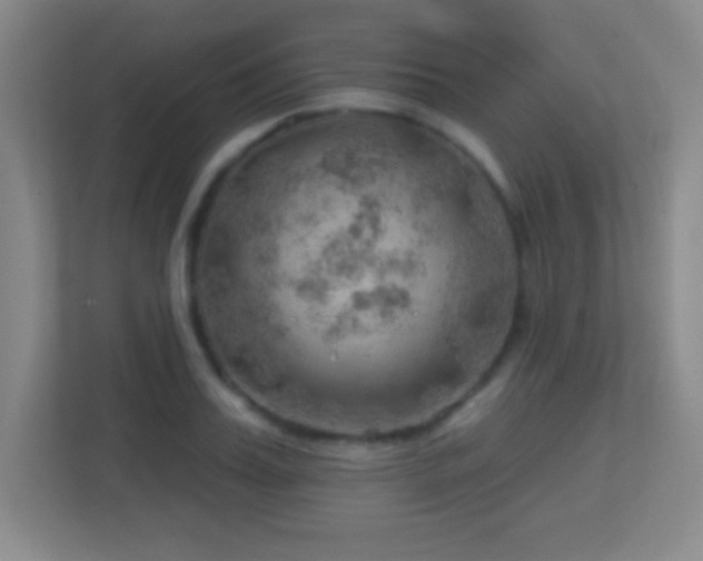 X0000113860987200909241304