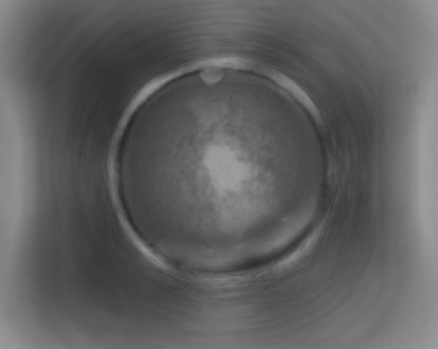 X0000113860989200909241304