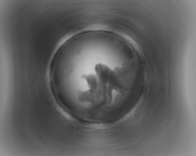 X0000113860990200909241304