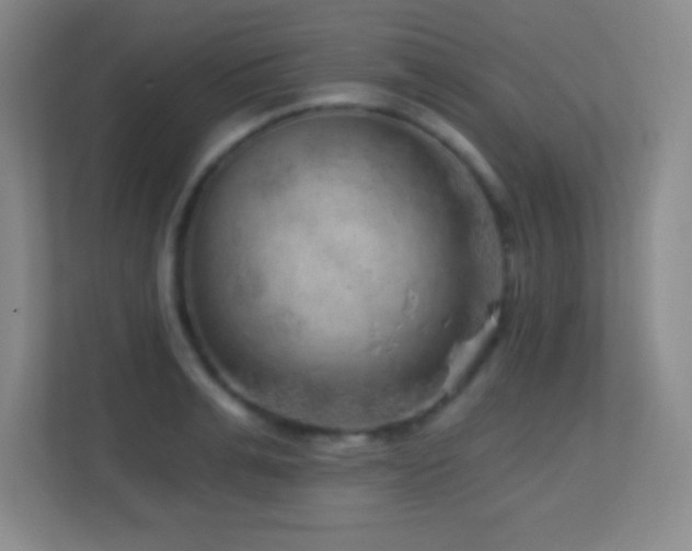 X0000113860991200909241304