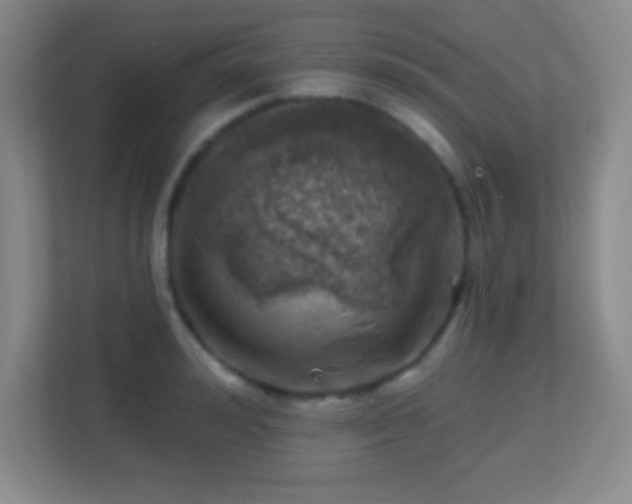 X0000113860992200909241304