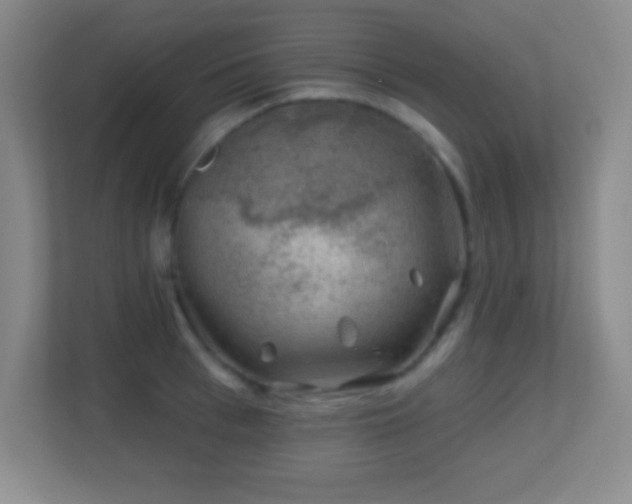 X0000113860993200909241304