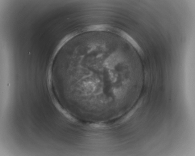 X0000113860994200909241304