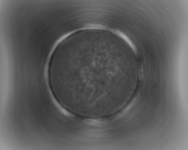 X0000113860995200909241304