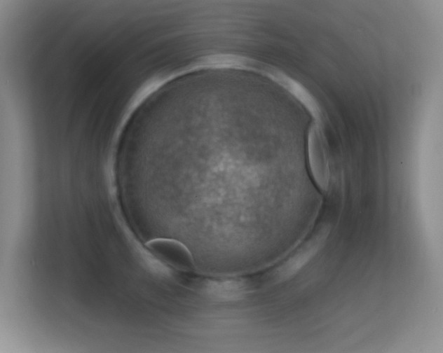 X0000113860997200909241304