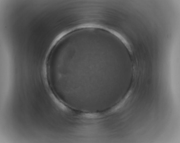 X0000113860998200909241304