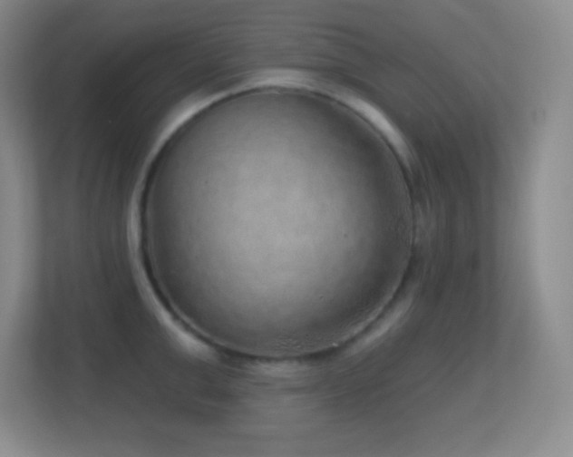 X0000113860999200909241304